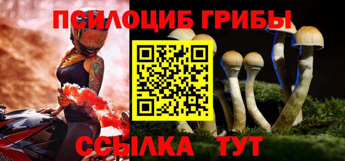 как найти закладки  Псилоцибиновые грибы мухоморы  Вход с VPN  Партизанск 